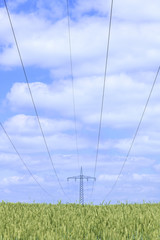 Power lines and transmission tower in Wheat field