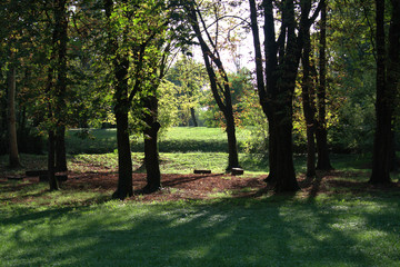 park,trees,green,grass,view,summer,outdoor