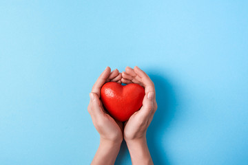 the big red heart in women's hands isolated on a blue background. Top view. Copy space