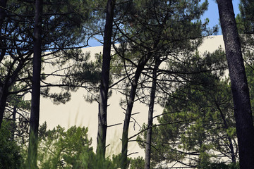 Biggest dune in Europe. Arcachon,France