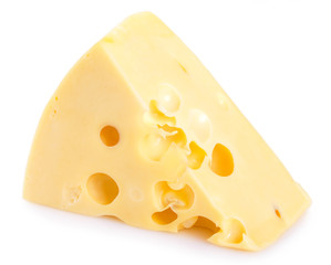 Cheese on white background