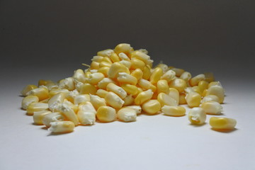 Fresh corn grains