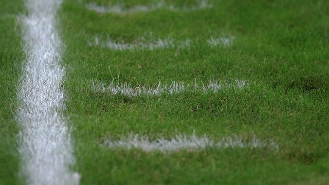 Football field sideline with yard hash marks, close up
