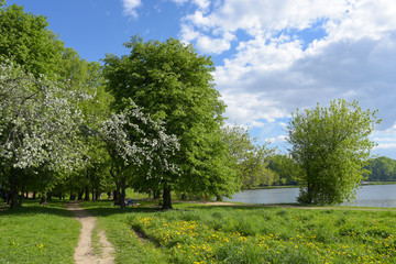 Big Golovinsky pond and Park in the Golovinsky district, Moscow, Russia