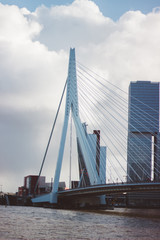 Erasmus Bridge