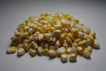 Fresh corn grains