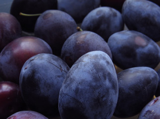 blue dark plum background