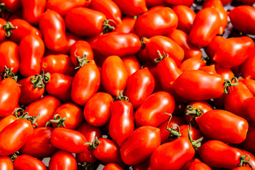 Tomaten