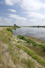 Ufer der Oder im Natura 2000 Gebiet 