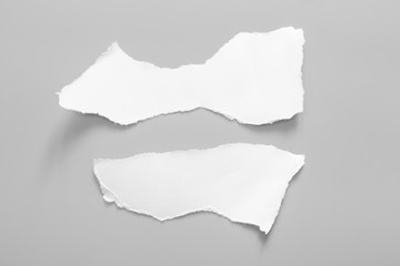 white torn paper on gray background. collection paper rip