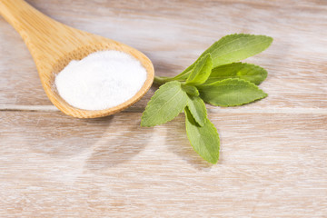 Natural sweetener in powder from stevia plant - Stevia rebaudiana