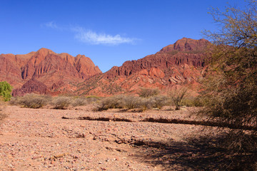 Bolivian canyon near Tupiza,Bolivia