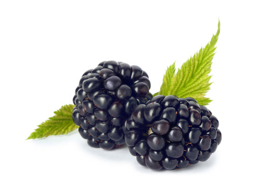 Fresh ripe juicy blackberries on white background