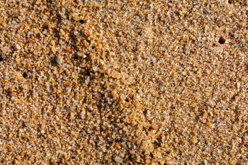 Beach sand with small dune
