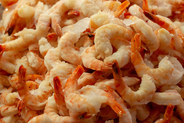 Fresh Cooked Shrimp