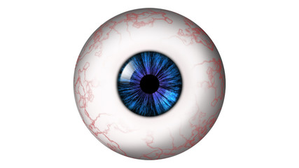 Human eyeball with red veins and blue iris on a white background. Bitmap illustration