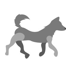Isolated dog icon