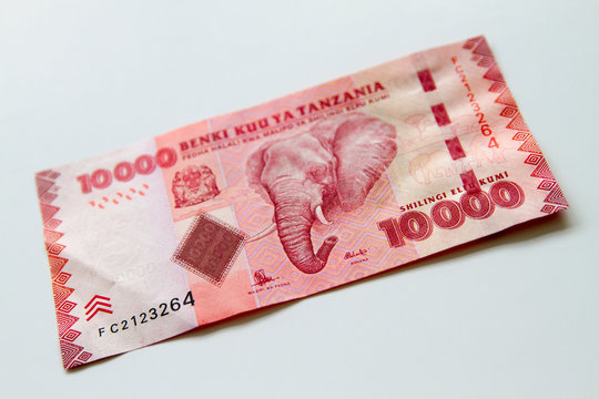 Tanzanian Shilings with wildlife species on one side, considered some of the most beautiful banknotes in the world 