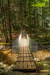 Swinging bridge thru the woods crossing a creek 