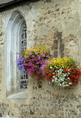 Fototapeta na wymiar ville de Francheville, mur fleuri de l'église et vitrail, département de l'Eure, Normandie, France