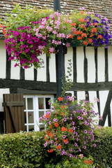 ville de Francheville, maison normande, fenêtre et colombages, massif de fleurs, département de l'Eure, Normandie, France
