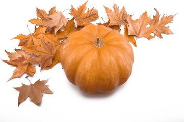 Pumpkin With Orange Leaves