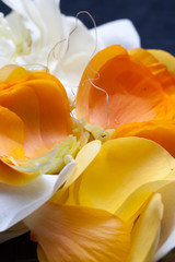 Orangene und weiße Tulpe Blüte