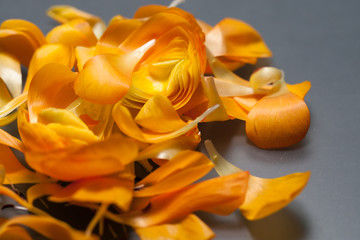 Fallende orangene Blütenblätter Detail