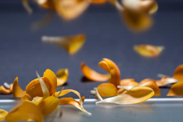 Fallende orangene Blütenblätter Detail