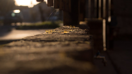 the perfect lightning