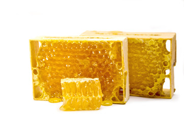 bee honey in honeycomb in frames and slice 