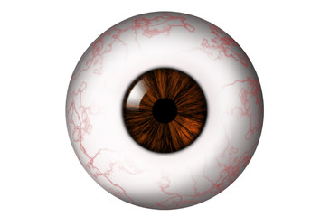 Human eyeball with red veins and brown iris on a white background. Bitmap illustration