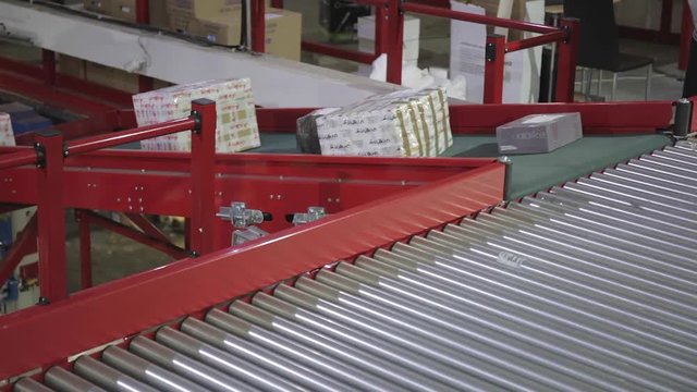 Sorting Boxes and Packages at Conveyor in Distribution Warehouse