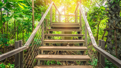 Stairs in the tropical forest