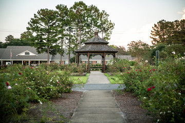 Serene Park Gazebo at Sunset in Rose Garden