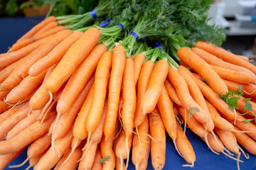 Fresh Organic Carrots