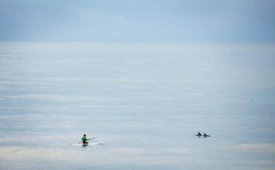 Man on paddleboard with two dolphins in ocean
