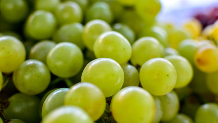 grapes green