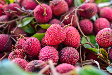 lychee red fruit