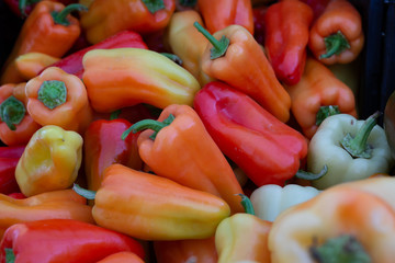 Fresh Organic Peppers