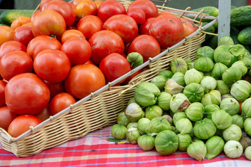 Fresh Organic Tomatoes