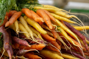 Fresh Organic Carrots