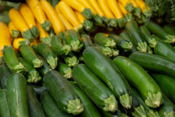 Fresh Organic Zucchini