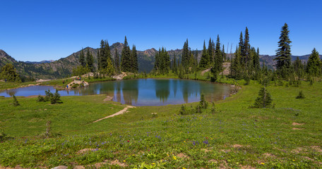 Alpine Lake in Mt Rainier National Park.