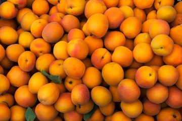 Healthy eating concept with fresh apricot