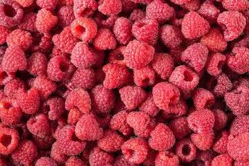 Raspberry. Fresh and sweet organic berries. Fruit background