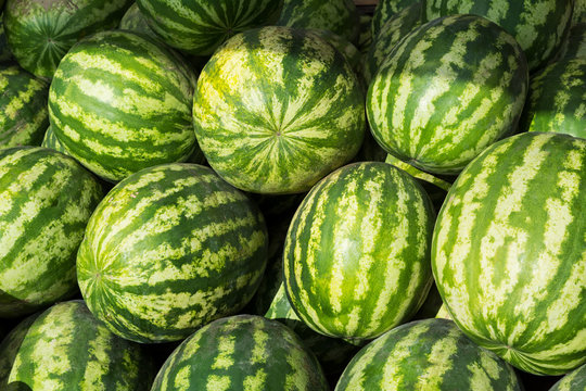 Watermelon as abundance harvest symbol
