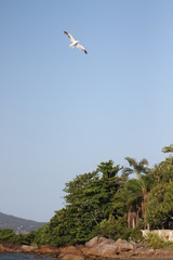 Freedom