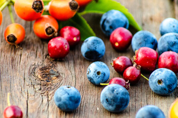 Rosehip, Teren and hawthorn on a wooden background
