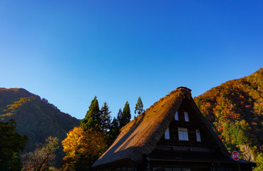 Autumn of Gokayama, a UNESCO World Heritage Site in Toyama, Japan.  ユネスコ世界遺産五箇山の秋　日本富山県南砺市　菅沼集落